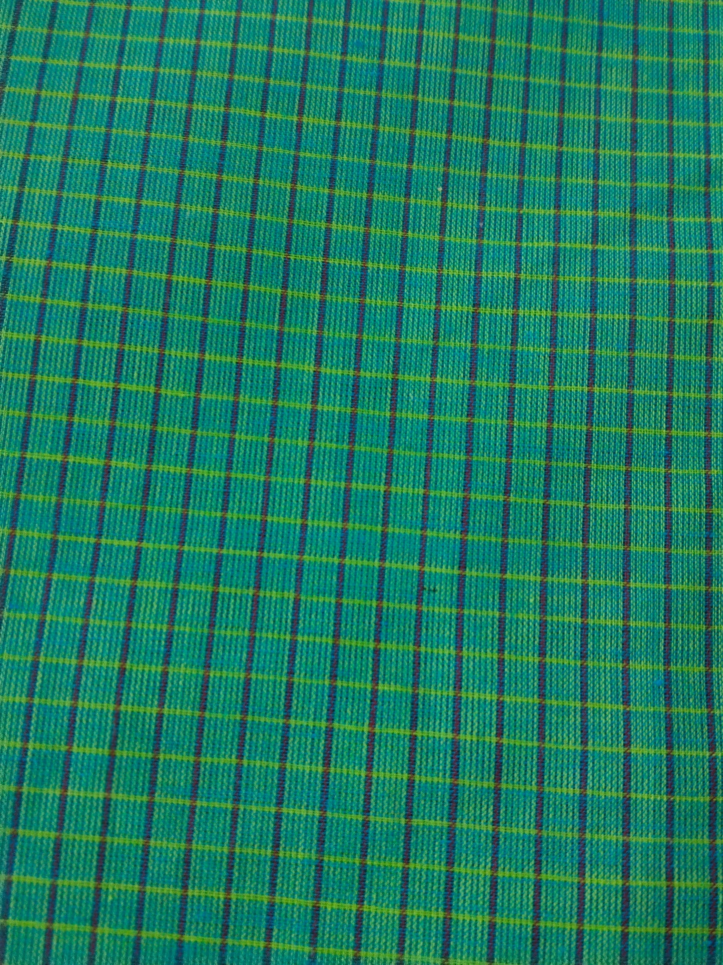 Sea Green Muthu Kattam double side border saree